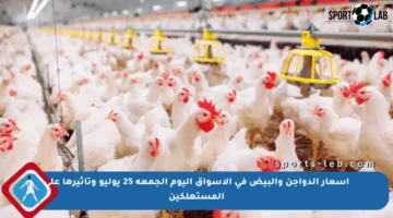 أسعار الدواجن والبيض في الأسواق اليوم الجمعة 25 يوليو وتأثيرها على المستهلكين